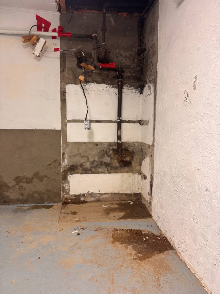 Basement With Water Damage